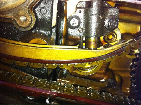 1998 Ford Crown Victoria - Close-up view of an engine's timing chain and tensioner mechanism.