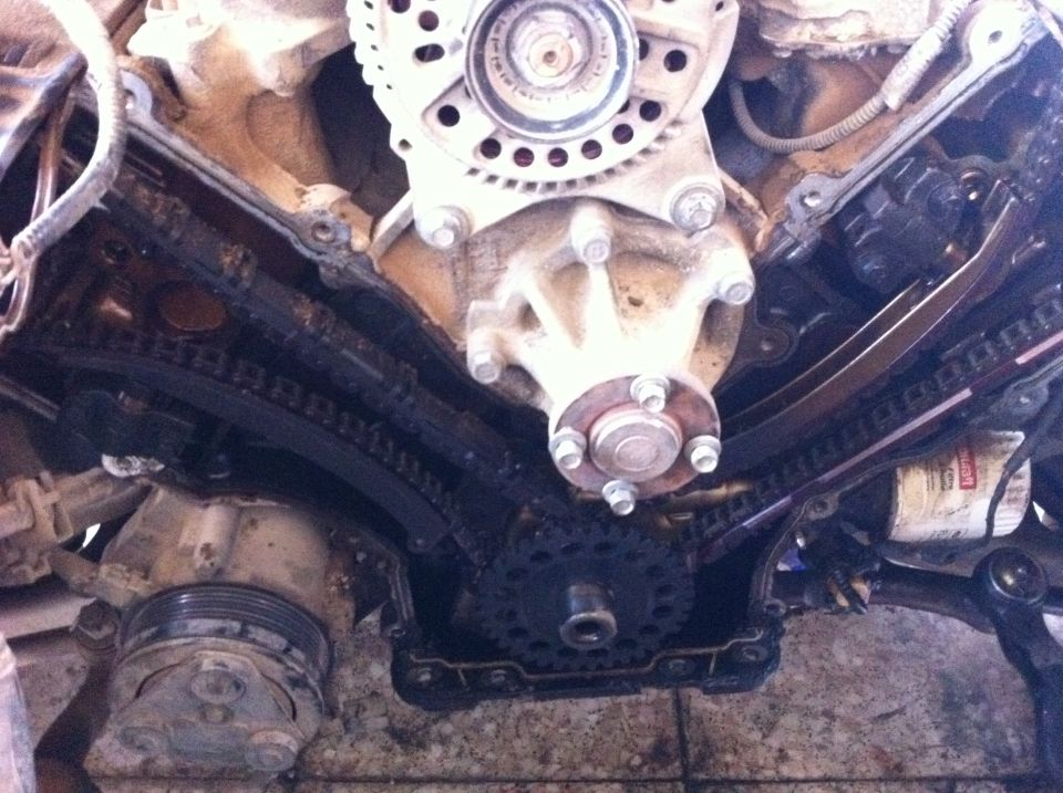 Engine timing chains and water pump assembly