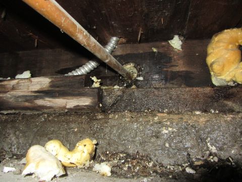 1968 Ford Mustang - A view of plumbing and insulation within a crawl space, showing signs of disrepair and moisture.