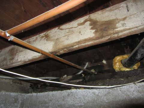 1968 Ford Mustang - Subfloor view showing plumbing pipes and evidence of water damage on wooden beams.