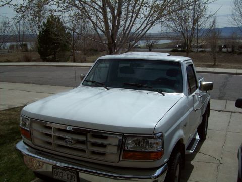 1993 Ford F-150 “Mtn. Bolt”