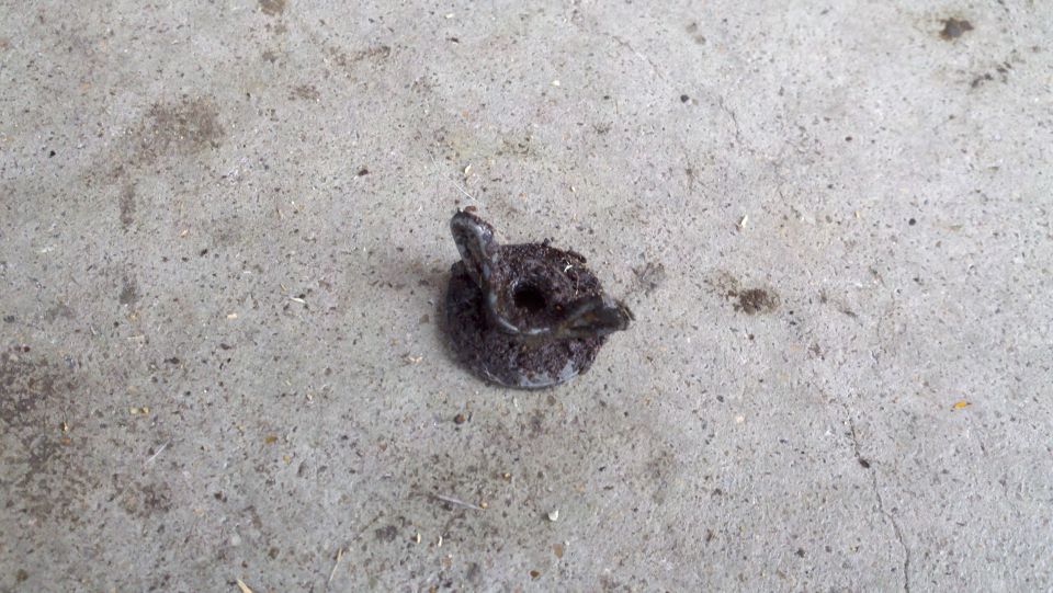 Dirty metal fastener on concrete