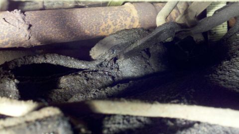 1978 Ford Bronco - Close-up of greasy engine parts and exhaust pipe, likely from a vehicle's undercarriage.
