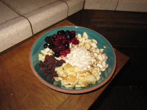 1990 Ford Bronco - A close-up view of a bowl filled with ingredients for oatmeal, including various fruits and nuts.