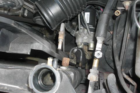 1994 Ford Bronco - Close-up view of engine bay components, including radiator and hoses, with visible text on a label.