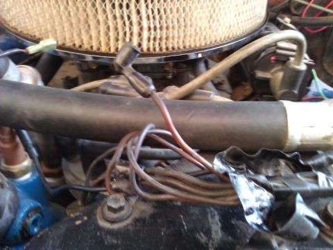 1981 Ford Bronco - The engine bay features an air filter housing and various hoses and electrical wiring.