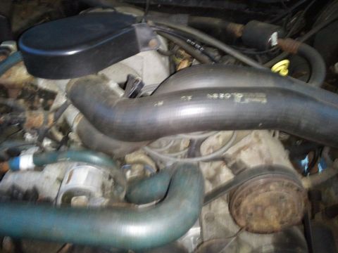 1991 Ford Bronco - Close-up view of an engine bay, showing hoses, belts, and engine components.