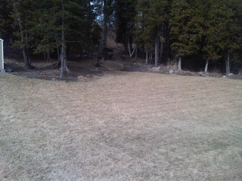 1984 Ford Bronco - Outdoor scene with dry grass and a wooded area.