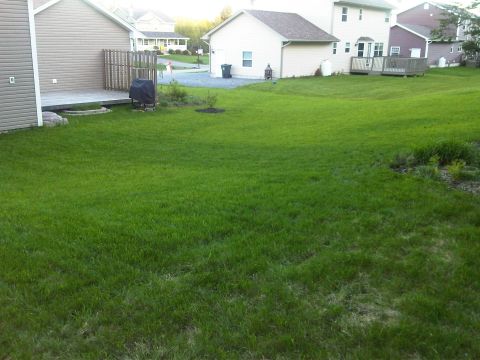 1984 Ford Bronco - A suburban backyard scene a lawn, deck, and residential houses.