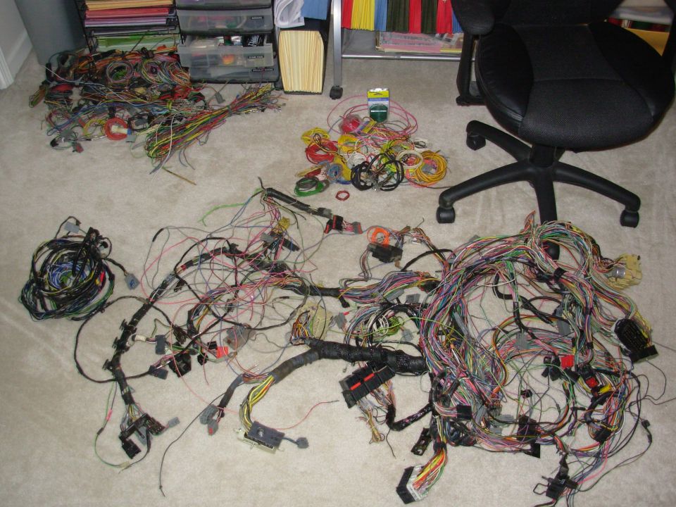 Disassembled automotive wiring harnesses laid out on carpet