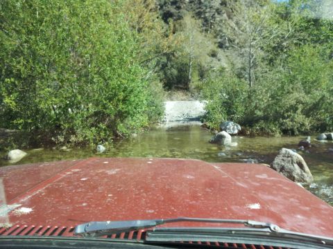 1978 Ford Bronco - Driving a vehicle through a shallow stream surrounded by trees and rocks.