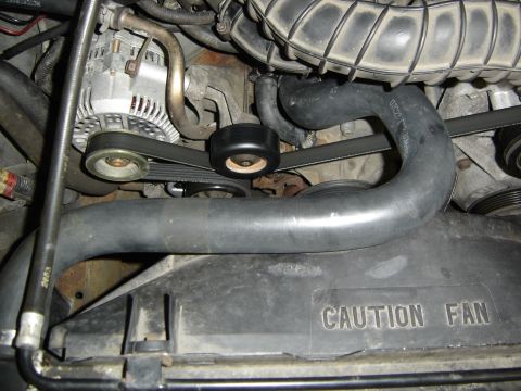 1996 Ford Bronco - Close engine bay shot of the black upper radiator hose sweeping over a plastic fan shroud stamped "CAUTION FAN," with the serpentine belt,…