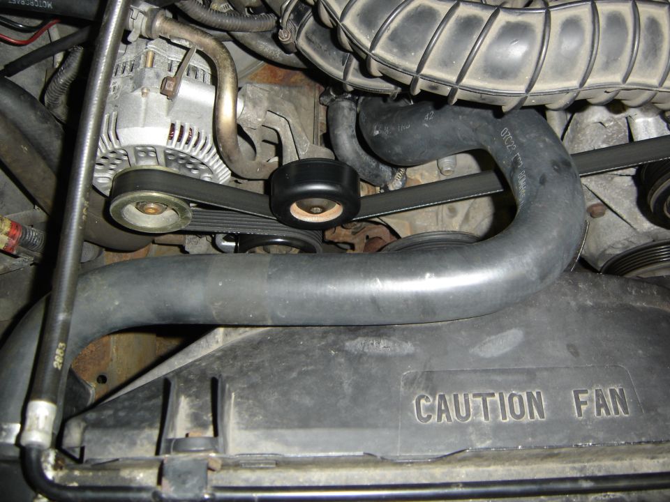 Radiator hose over CAUTION FAN shroud with serpentine belt, idler pulley and alternator behind