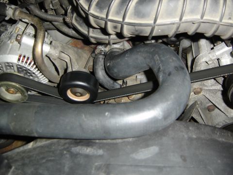 1996 Ford Bronco - Tight overhead engine bay shot of the black upper radiator hose bending down toward the thermostat housing, with the serpentine belt, a smo…
