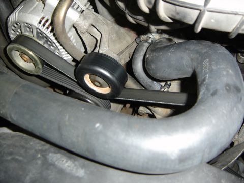 1996 Ford Bronco - Very close engine bay detail of a large black upper radiator hose curving across the frame, with a serpentine belt running over a smooth-fa…