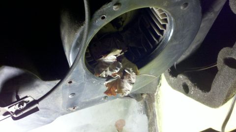 1978 Ford Bronco - A close-up view of a vehicle's blower motor housing clogged with fallen leaves.
