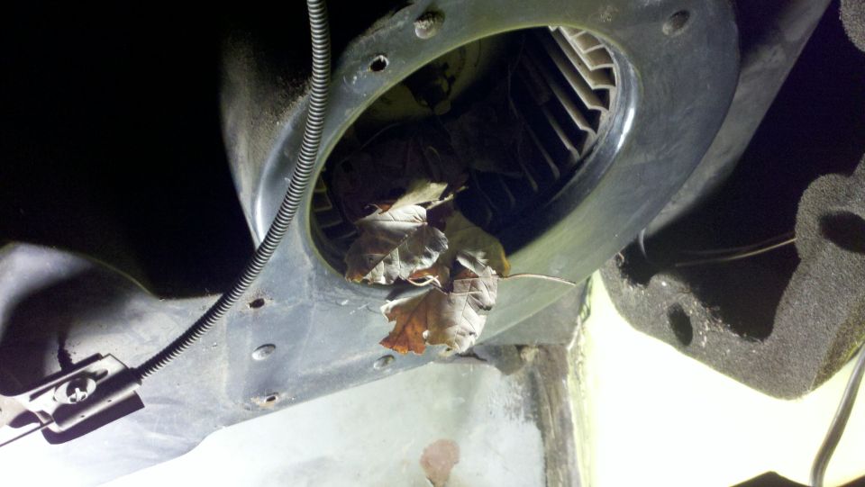 Blower motor housing filled with dry leaves, with a black cable running nearby