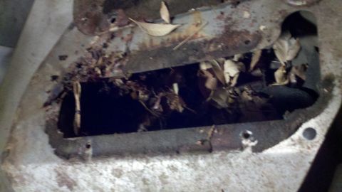 1978 Ford Bronco - A close-up view of a rusted metal vent clogged with leaves and debris.