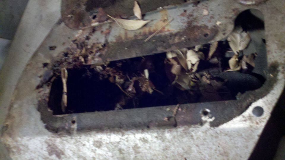 Rusted metal vent filled with dry leaves and debris