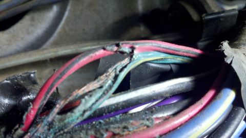 1978 Ford Bronco - This photo shows a damaged wiring harness with several wires showing signs of wear and tear.