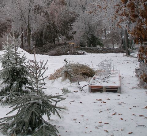 1997 Ford Taurus - A winter scene shows a yard covered in snow and ice, with debris from fallen branches.