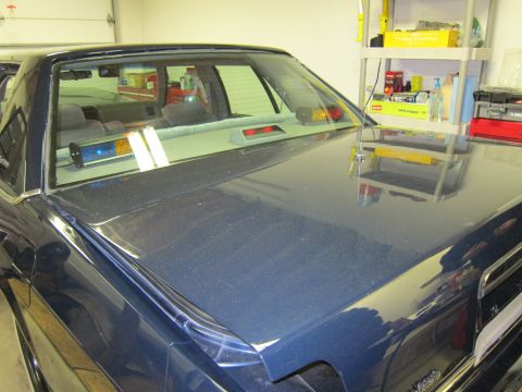 1991 Ford LTD Crown Victoria - The rear of a dark blue sedan is shown, with emergency lights visible inside the back window.