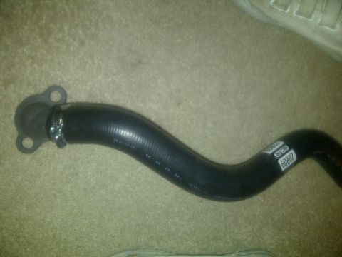 2000 Ford Crown Victoria - A black rubber radiator hose with a flange and metal clamps is shown against a carpeted background.