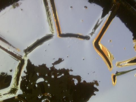 2000 Ford Crown Victoria - This image shows a close-up of oil in a pan, revealing a distinct geometric pattern formed by the oil's surface tension and reflections.