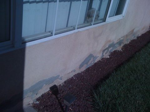 1968 Ford Mustang - Damage to the stucco on a building wall is visible near the ground, with a dog looking out a barred window.