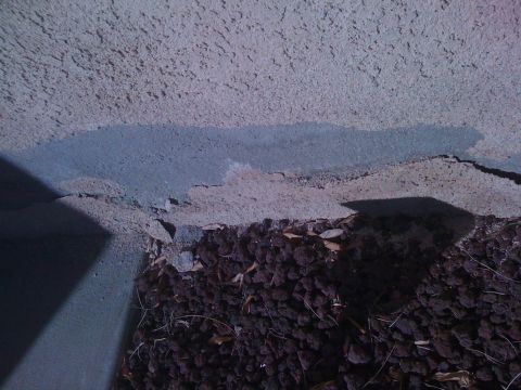 1968 Ford Mustang - Damage to a stucco wall is visible, with loose gravel and leaves at its base.