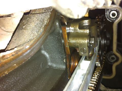 1998 Ford Crown Victoria - Engine timing chain and tensioner components are visible in this close-up view.