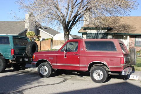 1991 Ford Bronco - Two Ford Broncos are parked on a residential street under a bare tree.