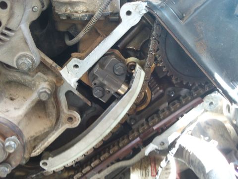 1998 Ford Crown Victoria - Engine timing chain and tensioner assembly detail.