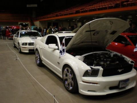 2005 Ford Mustang photo
