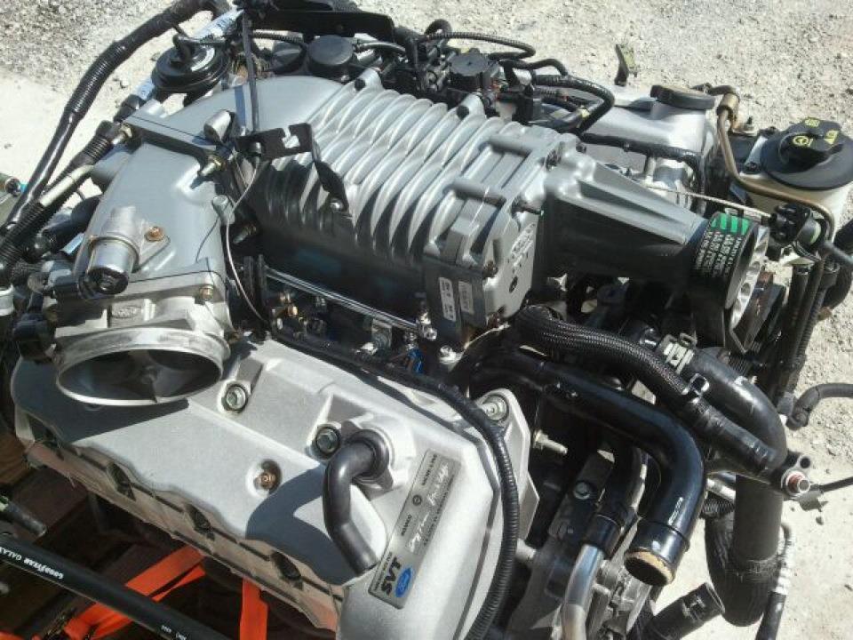 Supercharged V8 engine with SVT badge