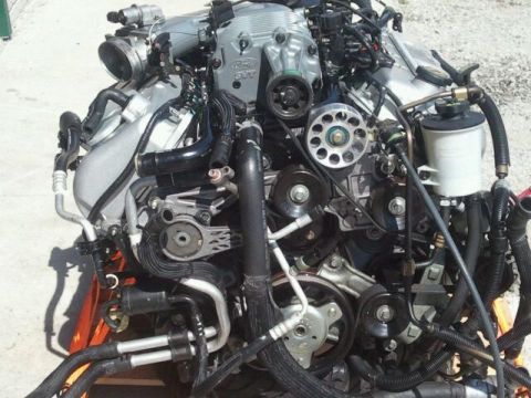 2004 Ford Crown Victoria - Close-up of a Ford V8 engine, likely a supercharged variant, with visible components and wiring.
