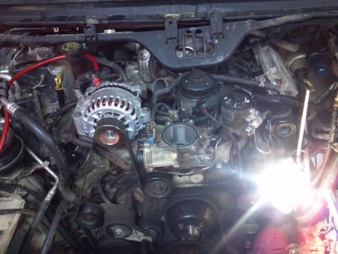 1993 Ford F-150 - Close-up view of an engine bay, focusing on the alternator and drive belts.