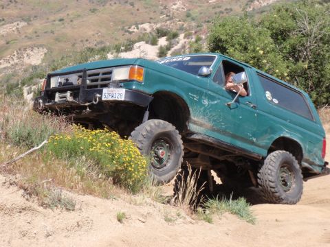 1978 Ford Bronco - This green Ford Bronco is navigating a steep, dusty trail with yellow wildflowers blooming nearby.