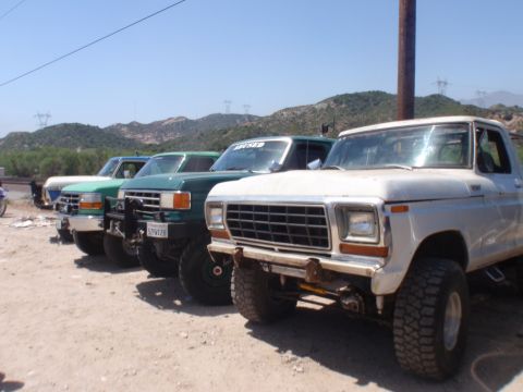 1978 Ford Bronco - Several vintage Ford F-Series trucks are parked in a row under a clear sky.