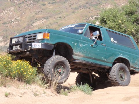 1978 Ford Bronco - This modified Ford Bronco is navigating a steep, sandy incline with yellow wildflowers nearby.