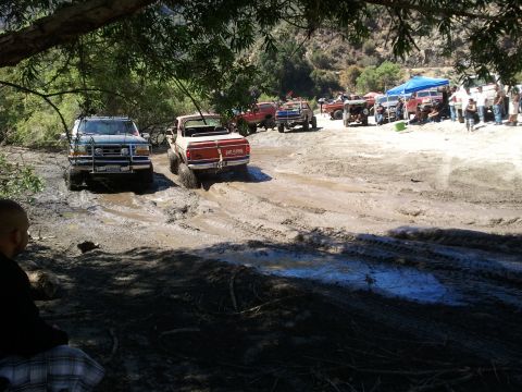 1978 Ford Bronco - Multiple off-road vehicles navigate a muddy terrain under a canopy of trees.