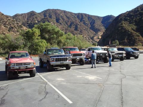 1978 Ford Bronco - A row of pickup trucks, including a 1978 Ford F-150, are parked in a lot with a mountainous backdrop.