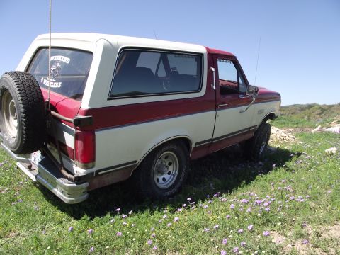 1989 Ford Bronco - This two-tone red and white Ford Bronco is parked on a grassy hillside under a clear blue sky.