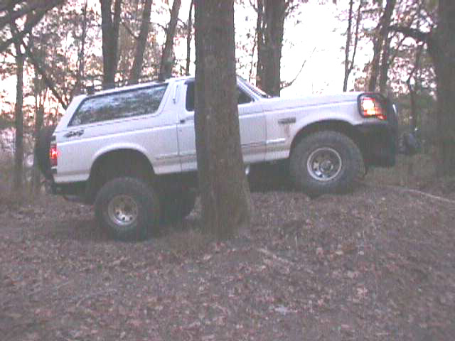 White Ford Bronco angled up against a tree on a leaf-covered slope at dusk, brake lights on