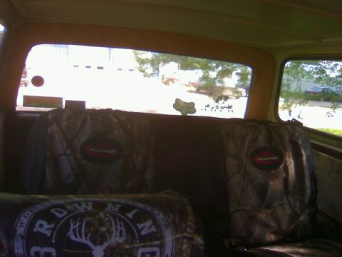 1979 Ford Bronco - Interior view of a vehicle camouflage seat covers and a Browning deer logo pillow, with a glimpse of the exterior through the windows.