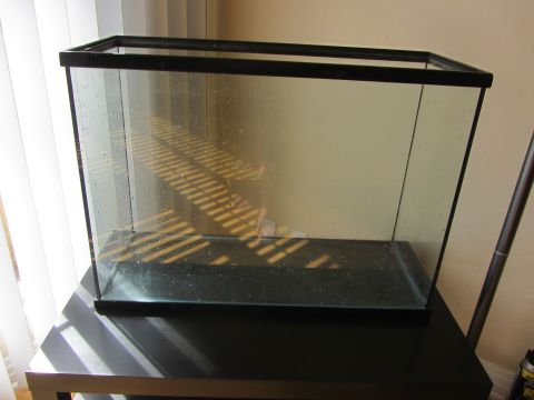 1968 Ford Mustang - An empty glass aquarium sits on a black stand, reflecting light and shadows from nearby blinds.