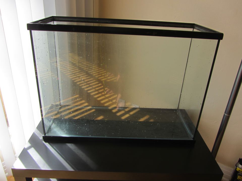empty glass aquarium on a black stand, with blinds casting shadows on the glass