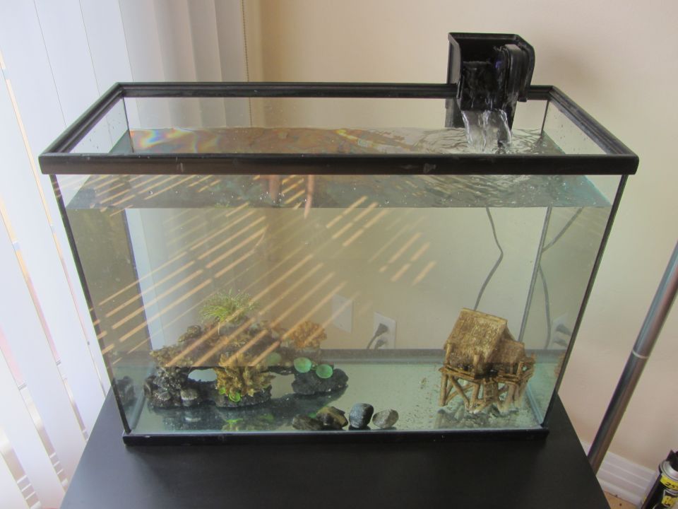 Aquarium with filter, rocks, plants, and a small house decoration