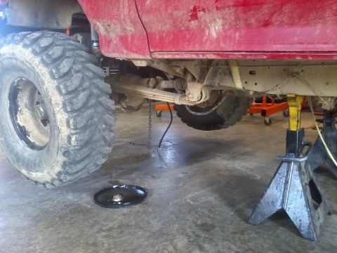1995 Ford F-150 - The underside of a red pickup truck is shown elevated on jack stands for maintenance.