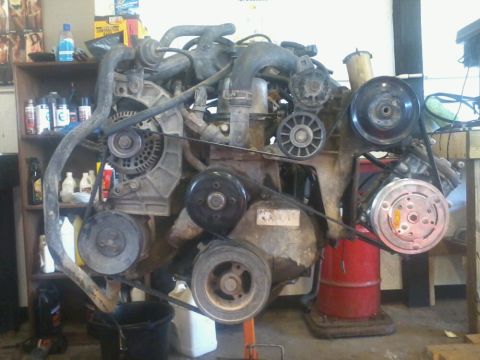 1995 Ford F-150 - makes the ole; I6 look real real wide.